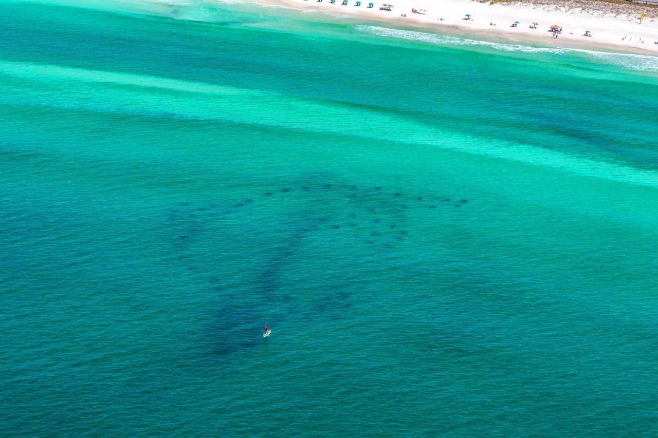 Neptune'S Nook Villa Destin Eksteriør bilde